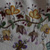 JHA Design Original